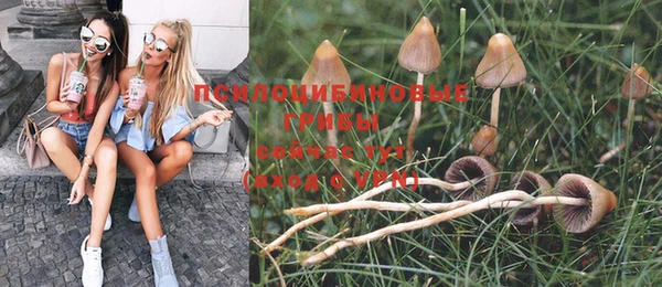 дживик Баксан