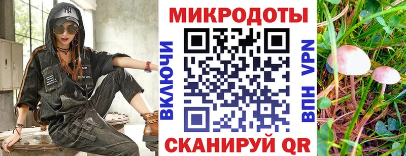 Псилоцибиновые грибы Cubensis цены наркотик Новая Ляля
